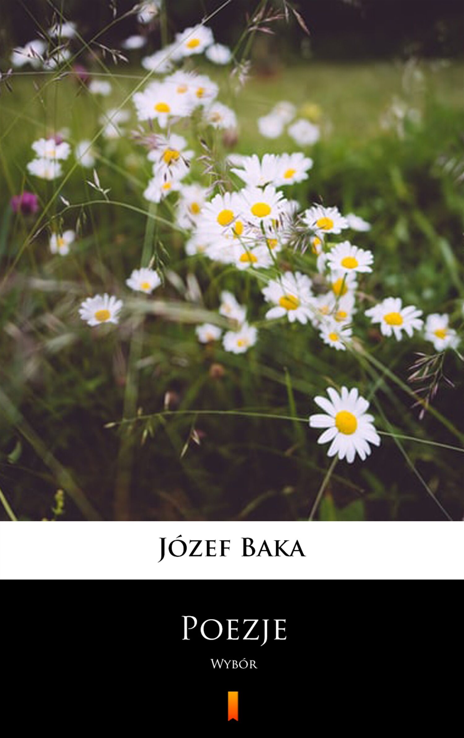 Poezje (e-book)