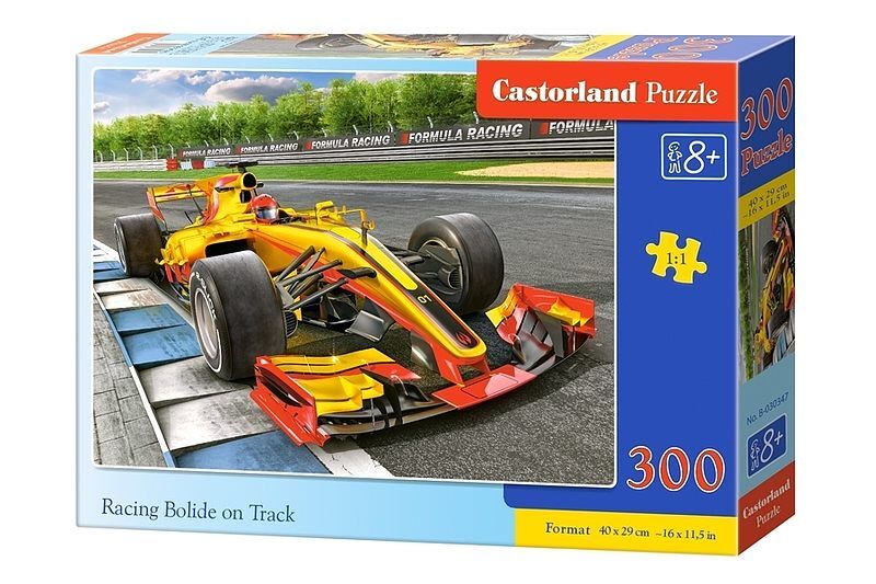Puzzle Racing Bolide on Track 300
