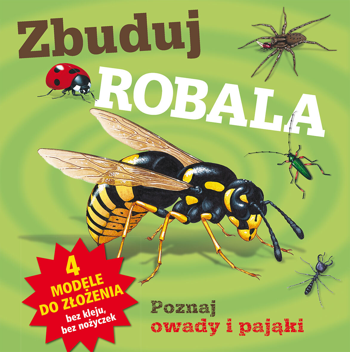 Zbuduj robala