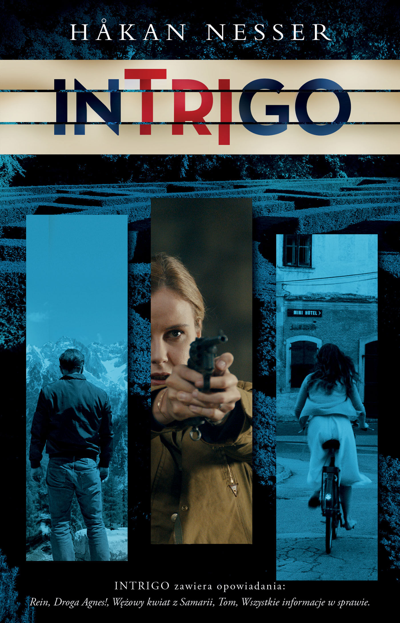 Intrigo (e-book)