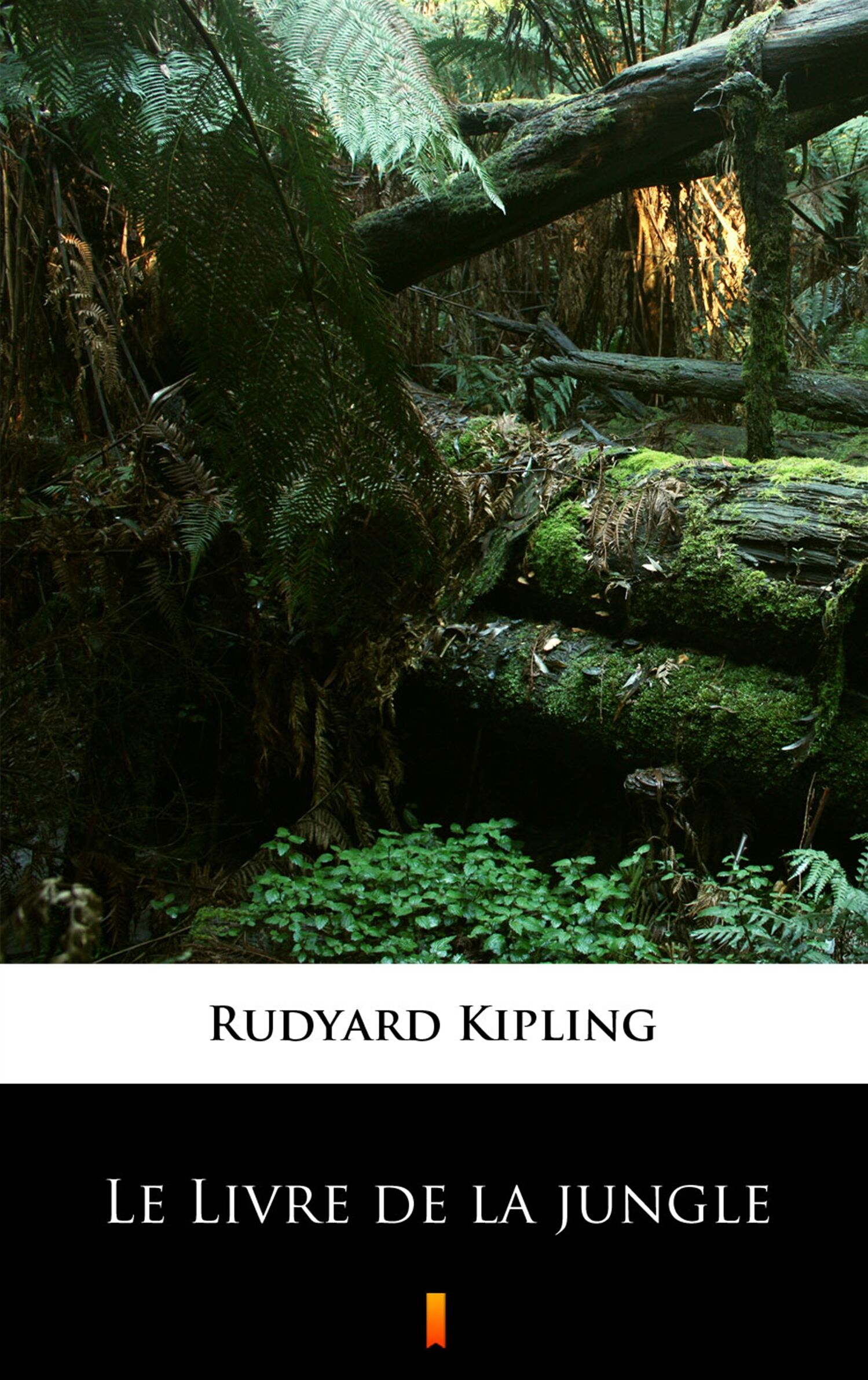 Le Livre de la jungle (e-book)