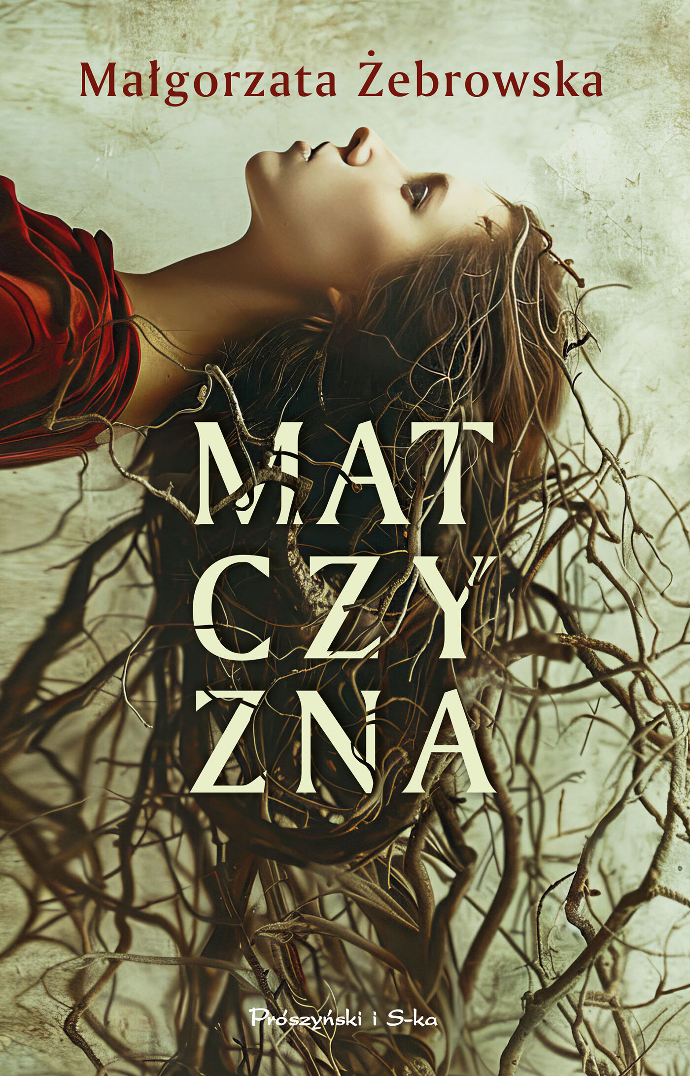 Matczyzna (e-book)