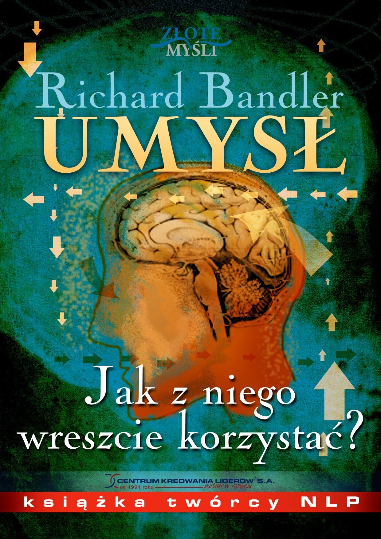 Umysł. Jak z niego wreszcie korzystać? (e-book)