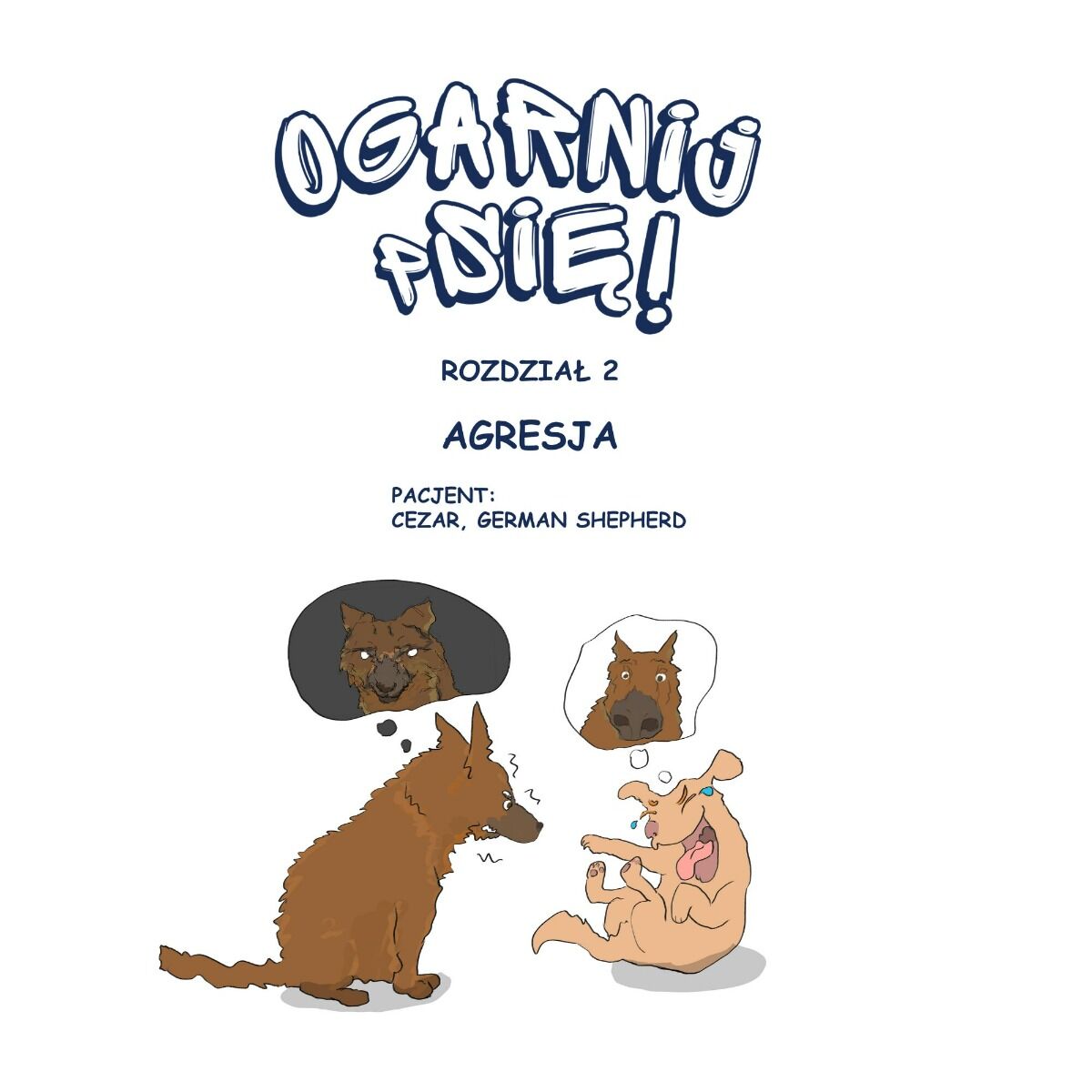 Ogarnij pSię!