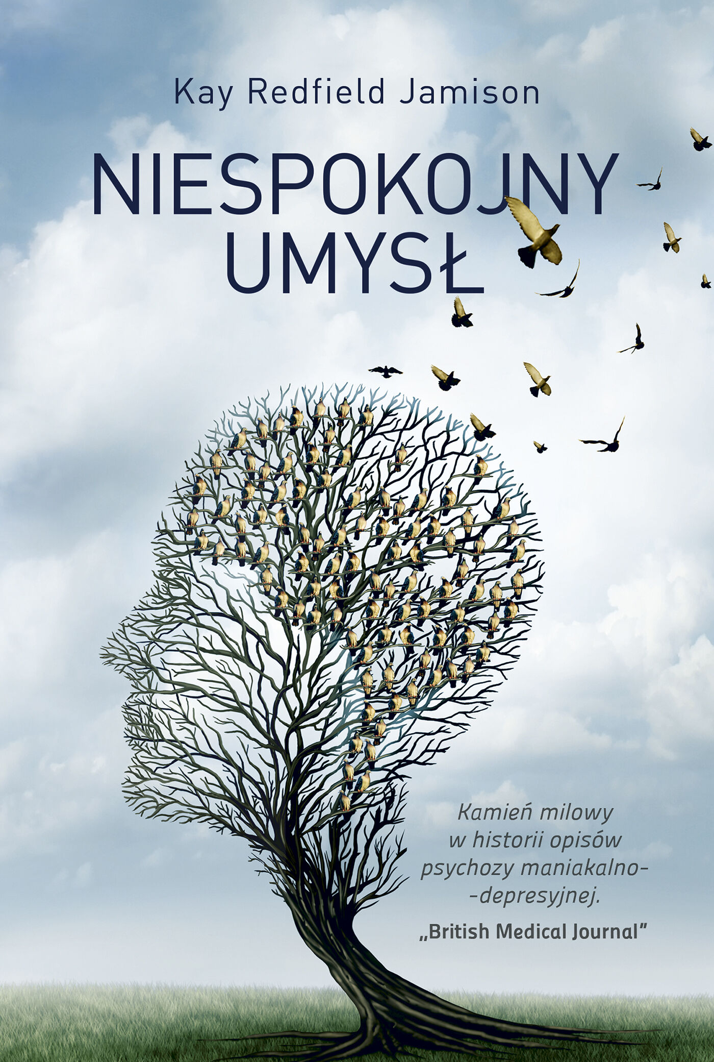 Niespokojny umysł (e-book)