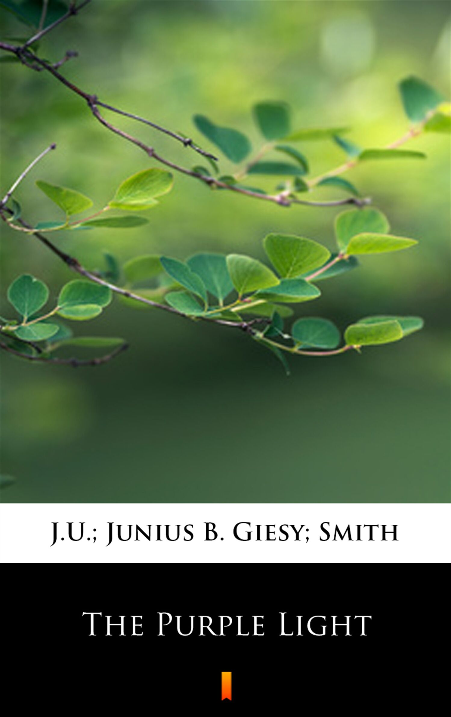The Purple Light (e-book)
