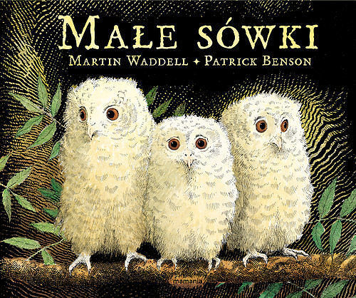 Małe sówki