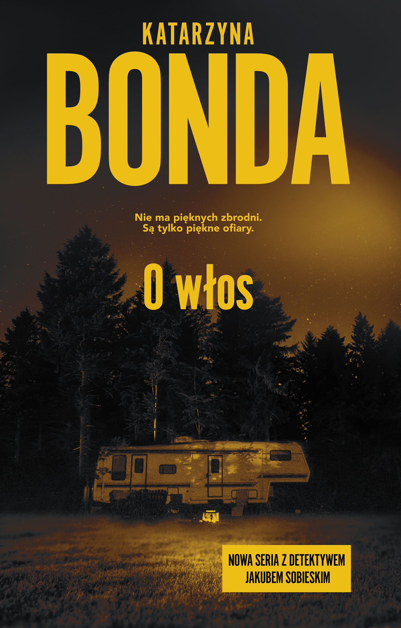 O włos (e-book)