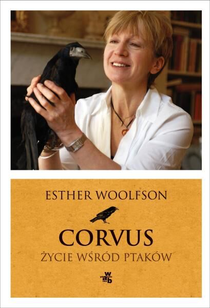 Corvus