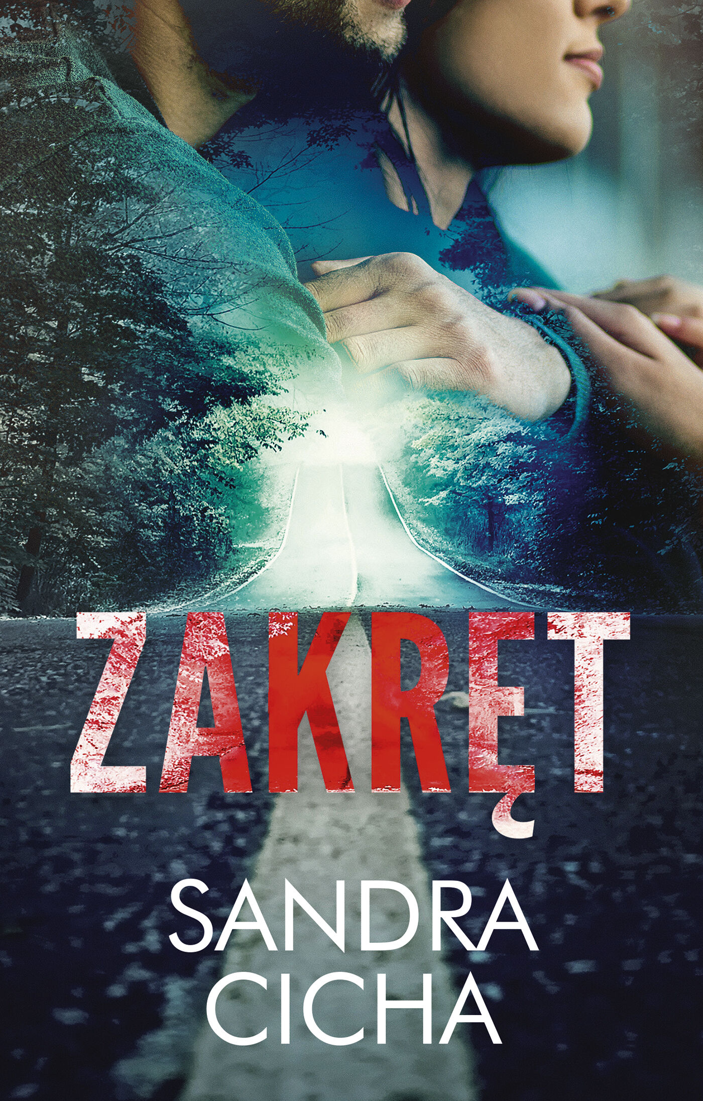 Zakręt (e-book)