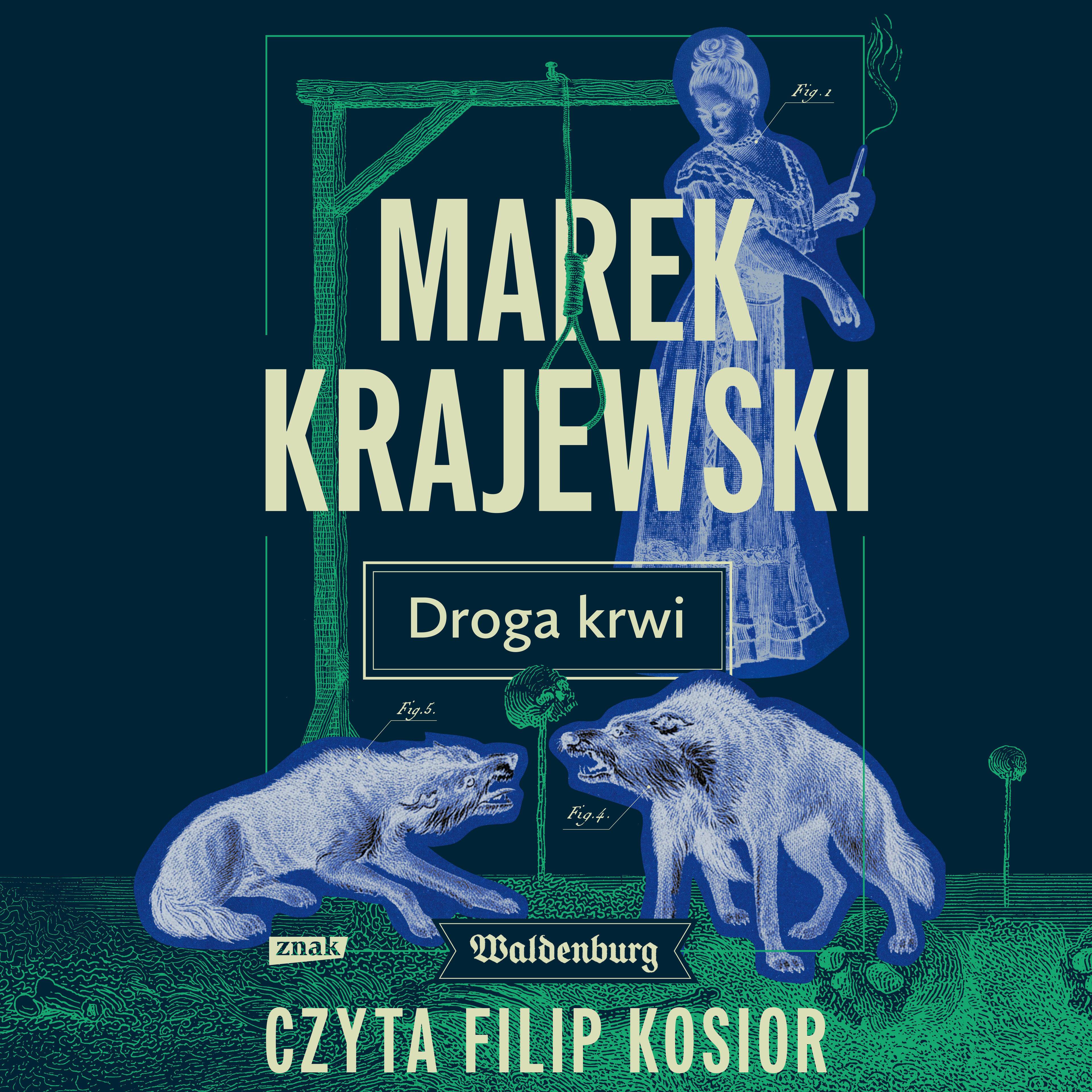 Droga krwi (audiobook MP3)