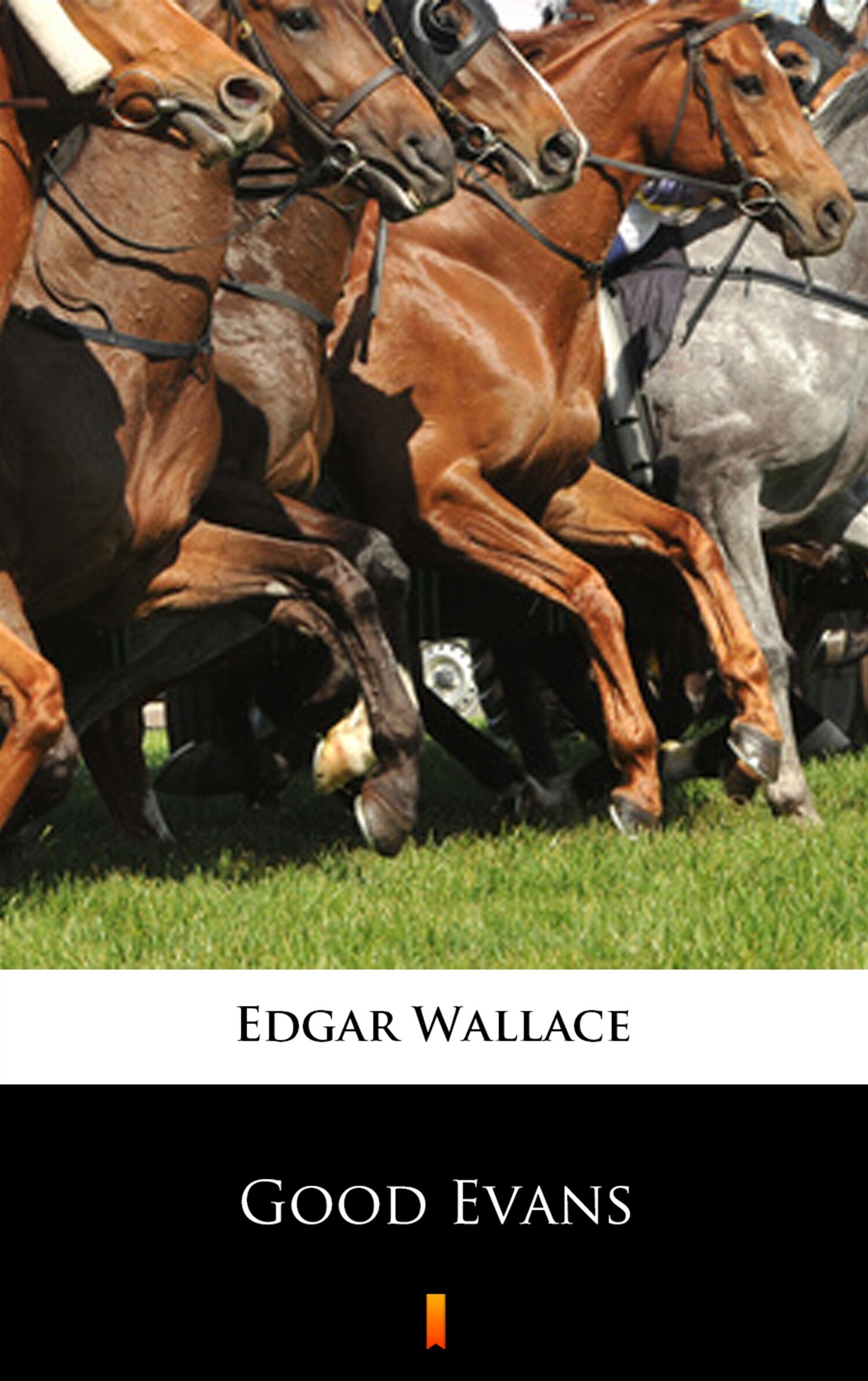 Good Evans (e-book)