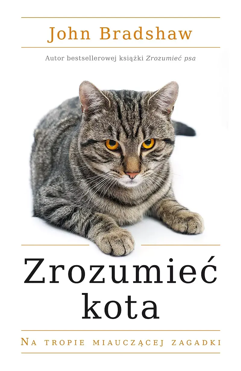 Zrozumieć kota (Duże Litery)