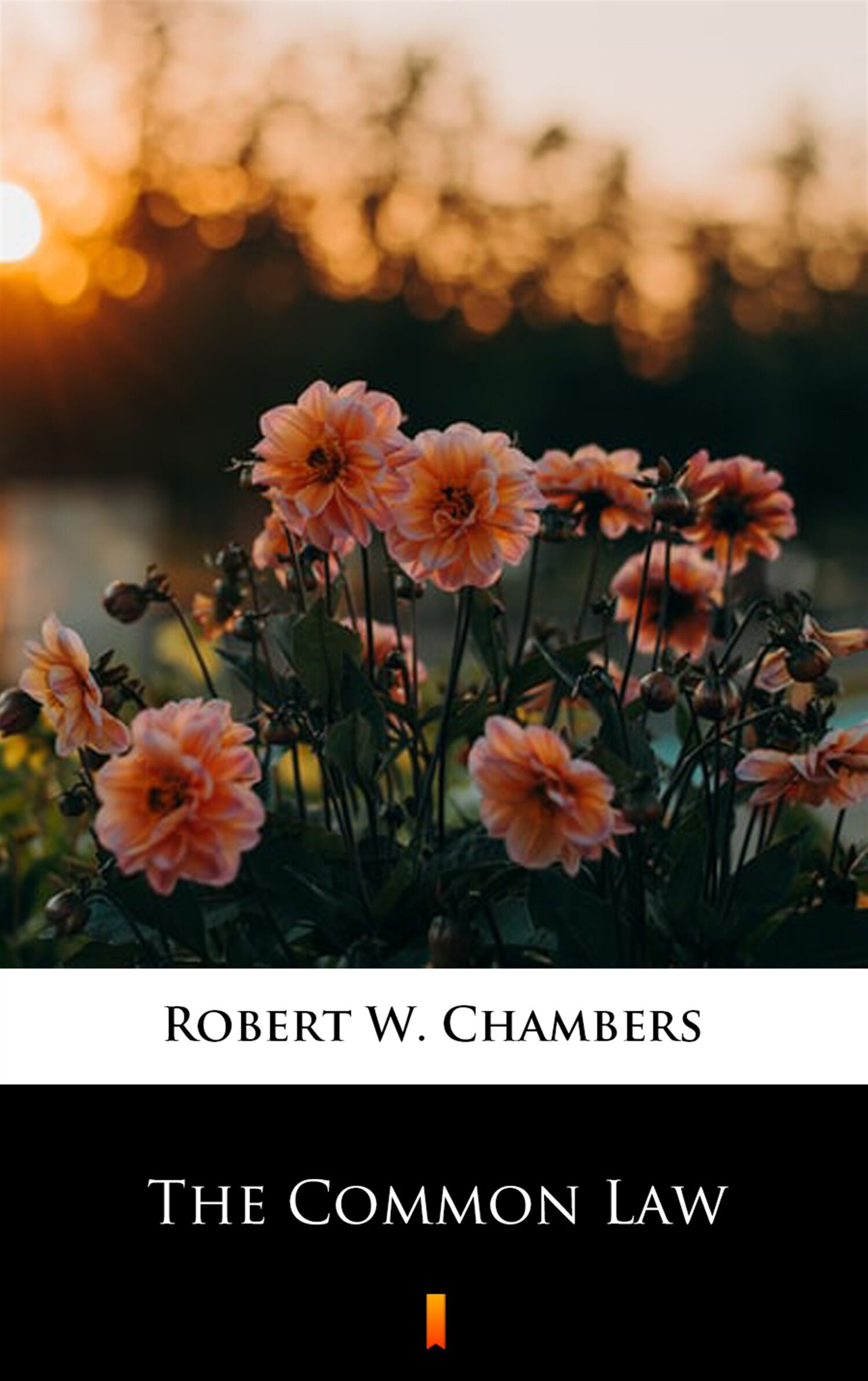 The Common Law (e-book)