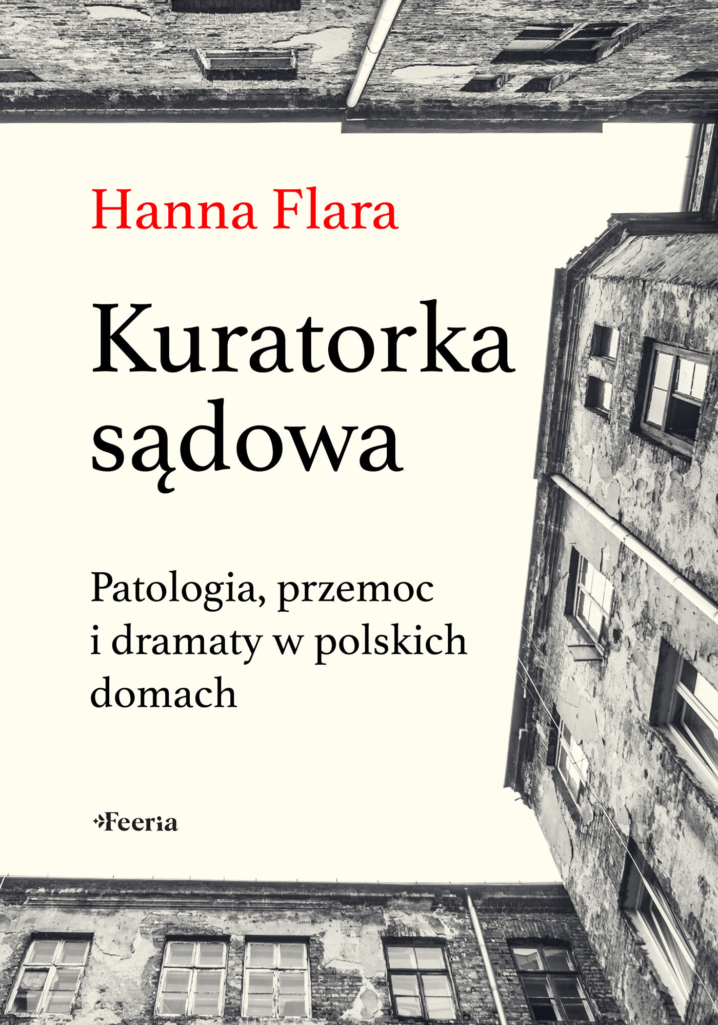Kuratorka sądowa (e-book)