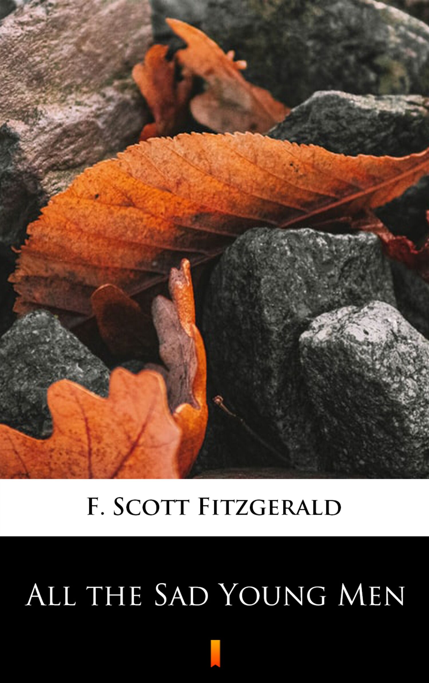 All the Sad Young Men (e-book)