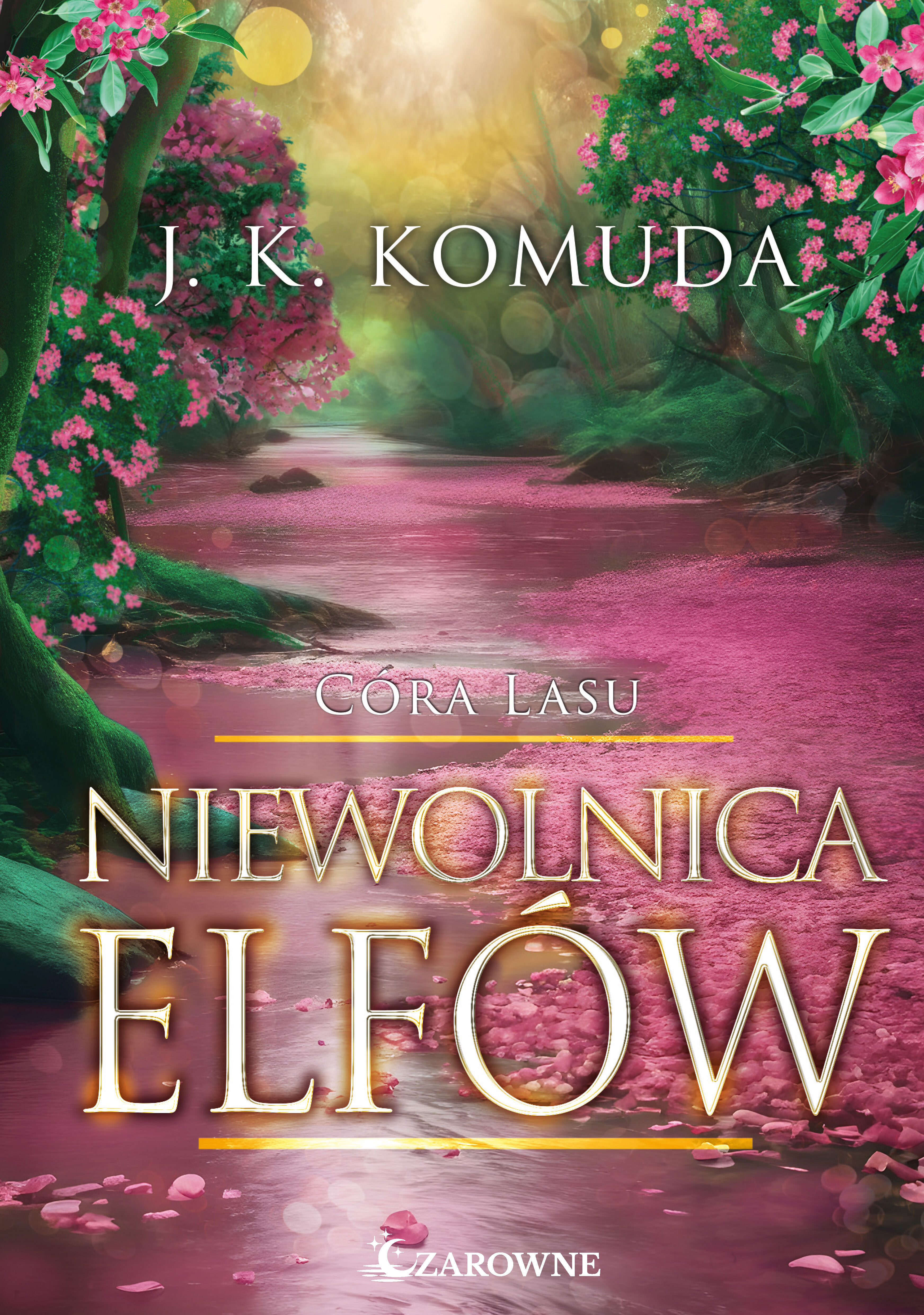 Niewolnica elfów (e-book)