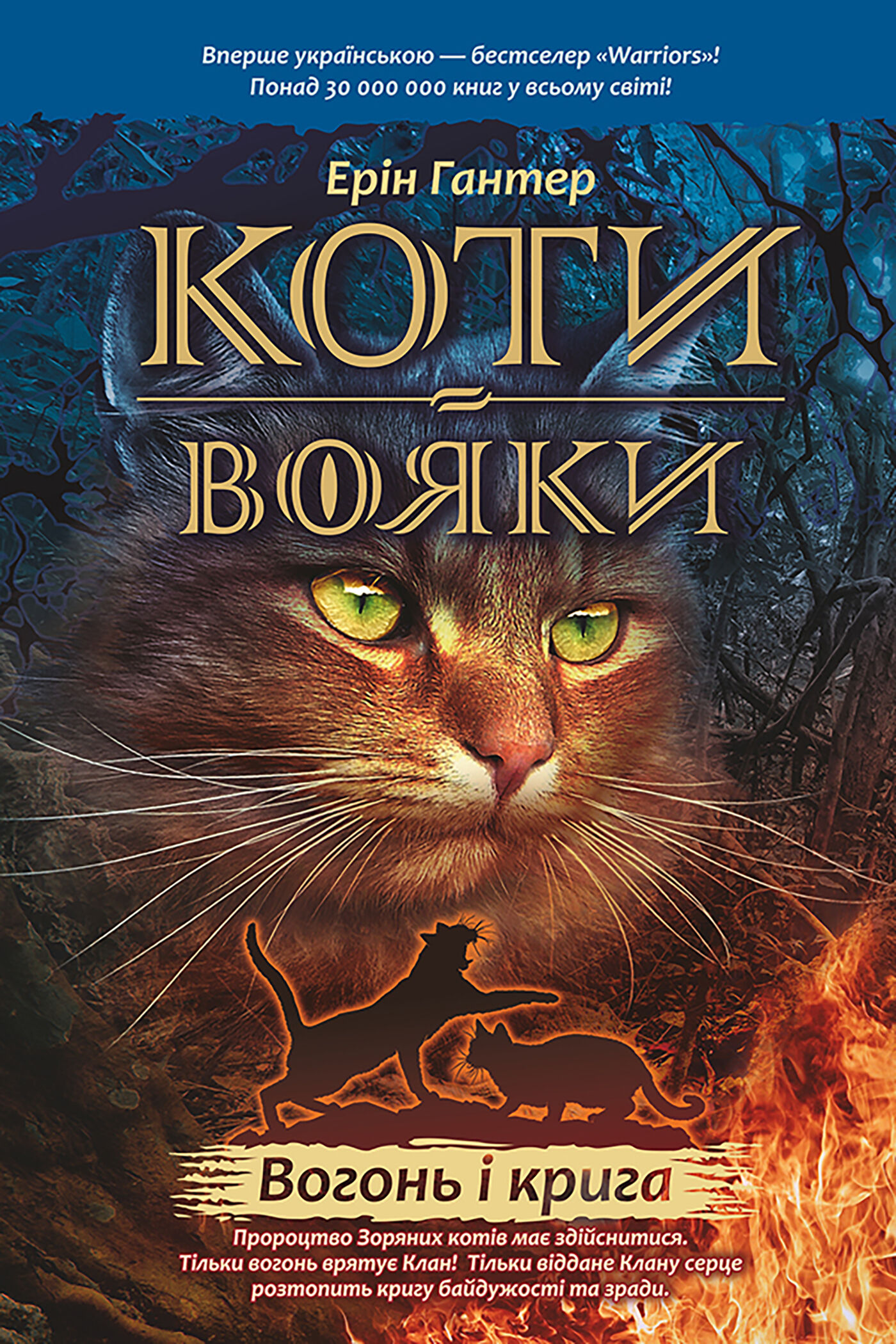 Вогонь і крига (e-book)