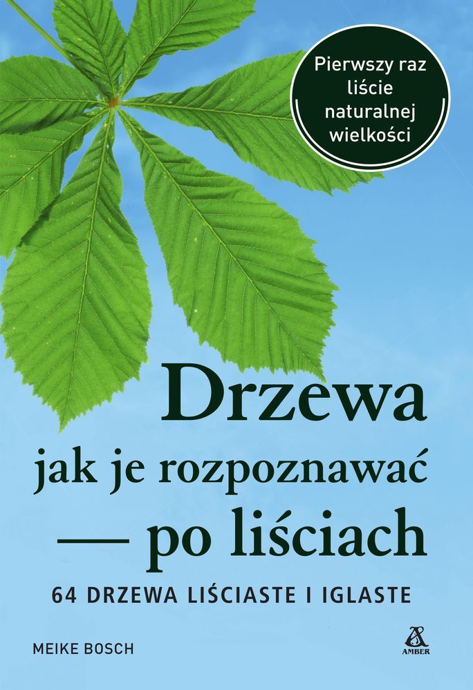 Drzewa, jak je rozpoznawać po liściach wyd. 2