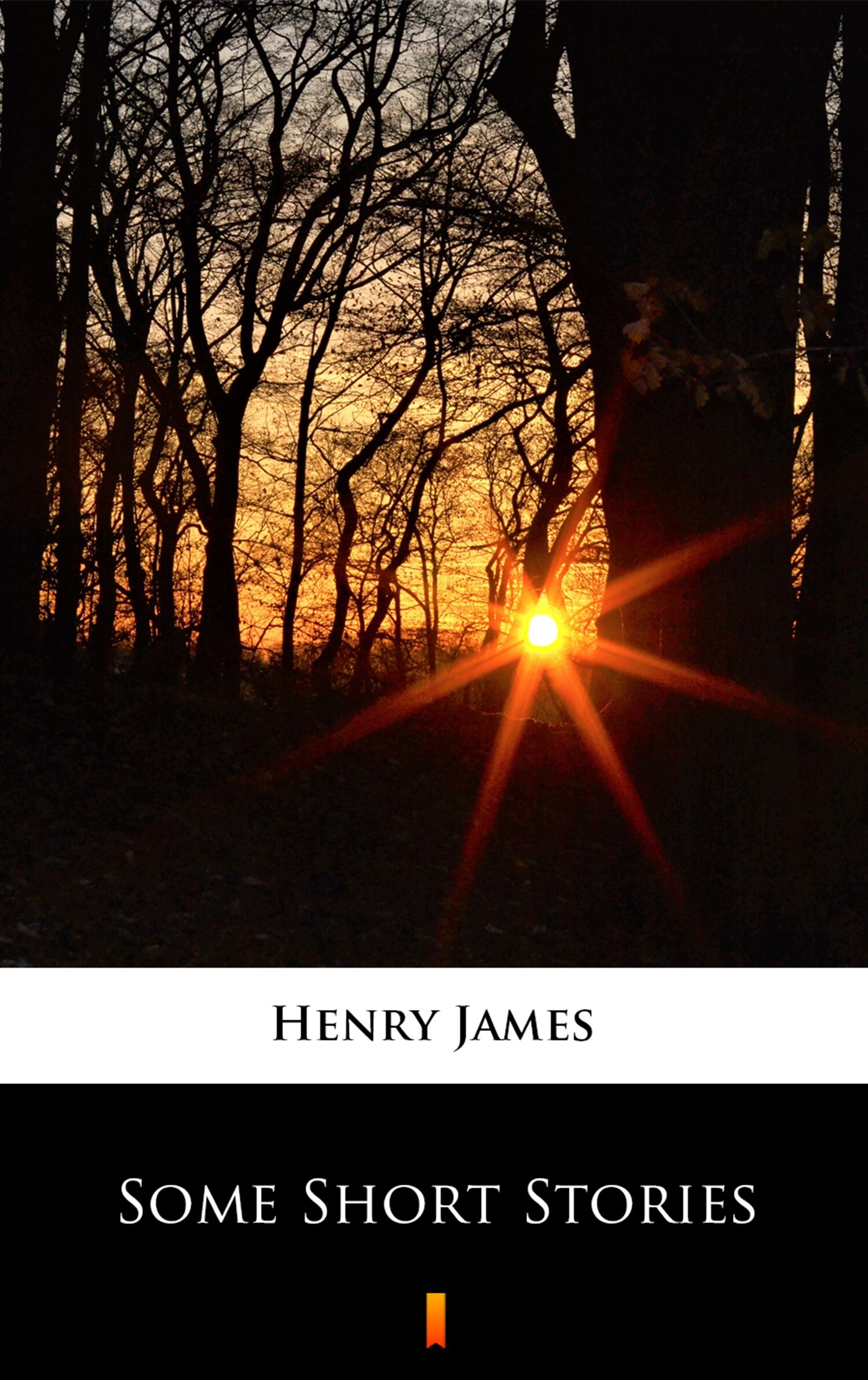 Some Short Stories (e-book)