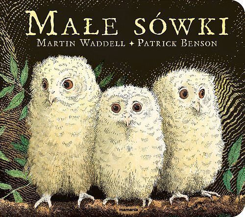 Małe sówki. Książka kartonowa