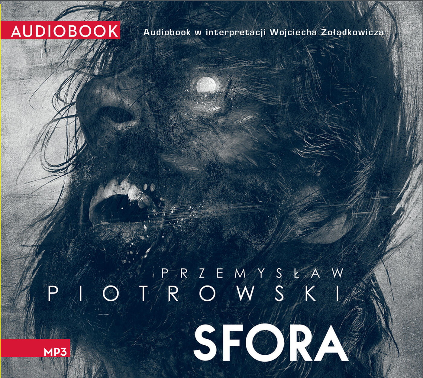 Sfora (audiobook MP3)