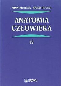 Anatomia człowieka. Tom 4