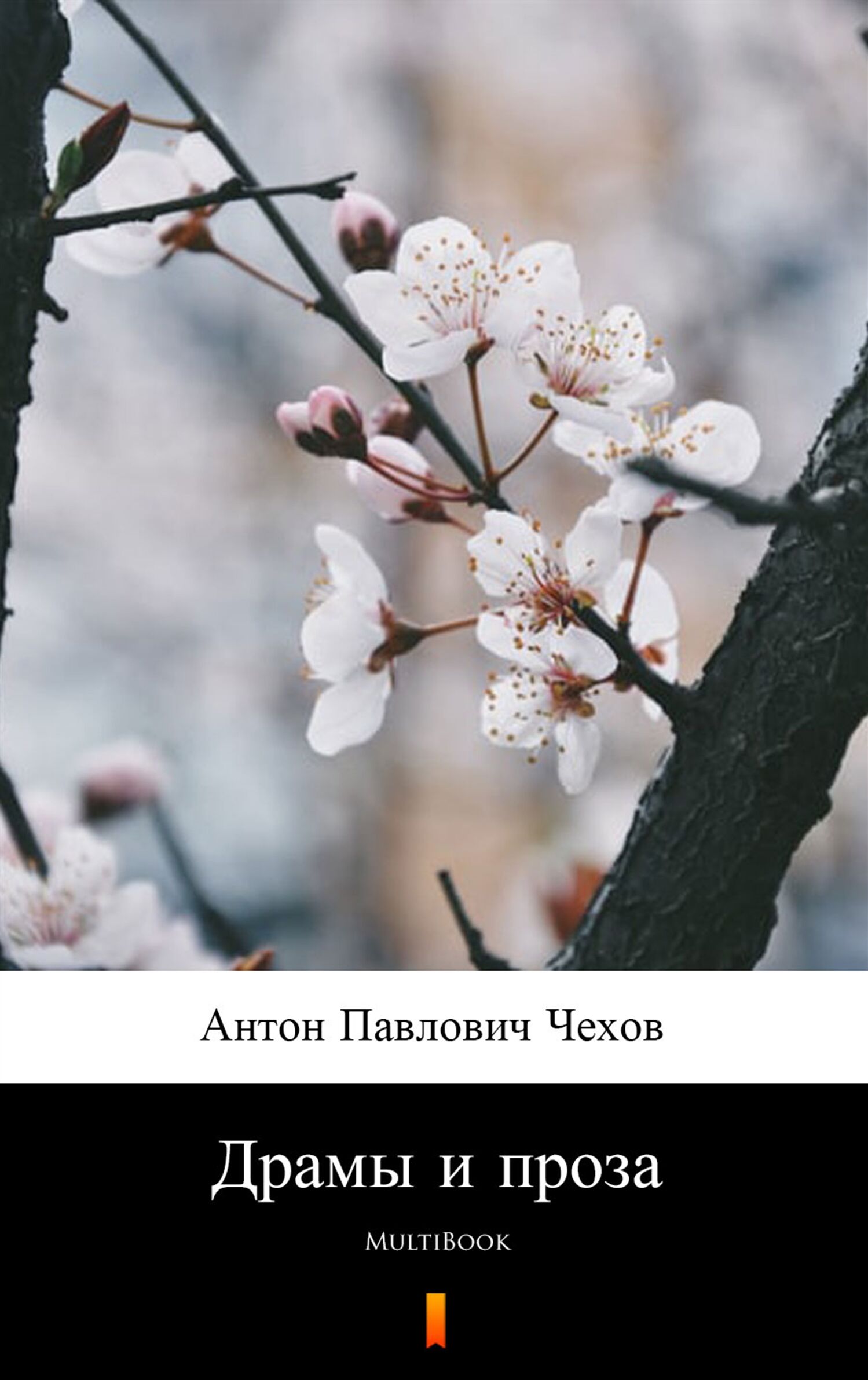 Драмы и проза (e-book)