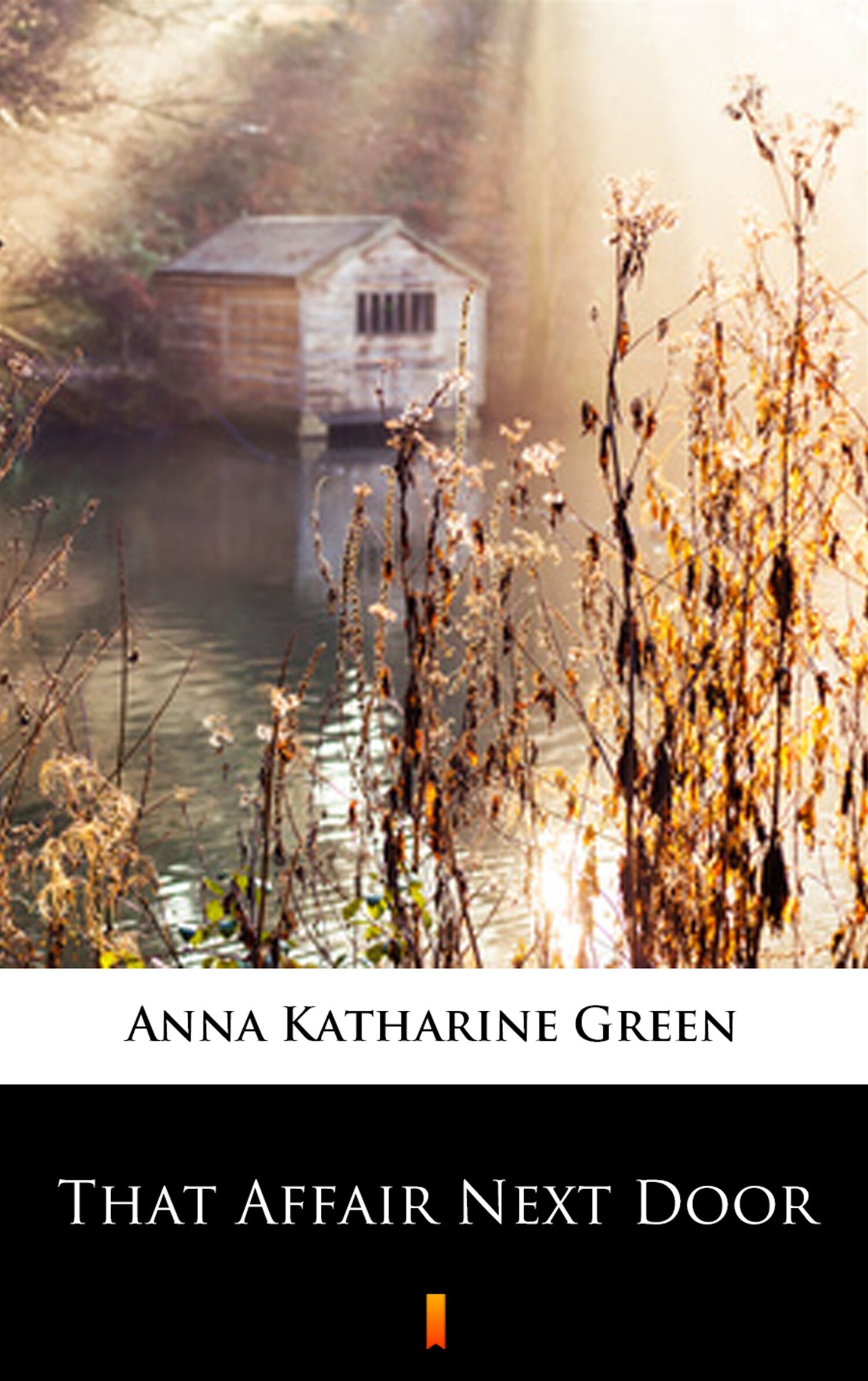 That Affair Next Door (e-book)