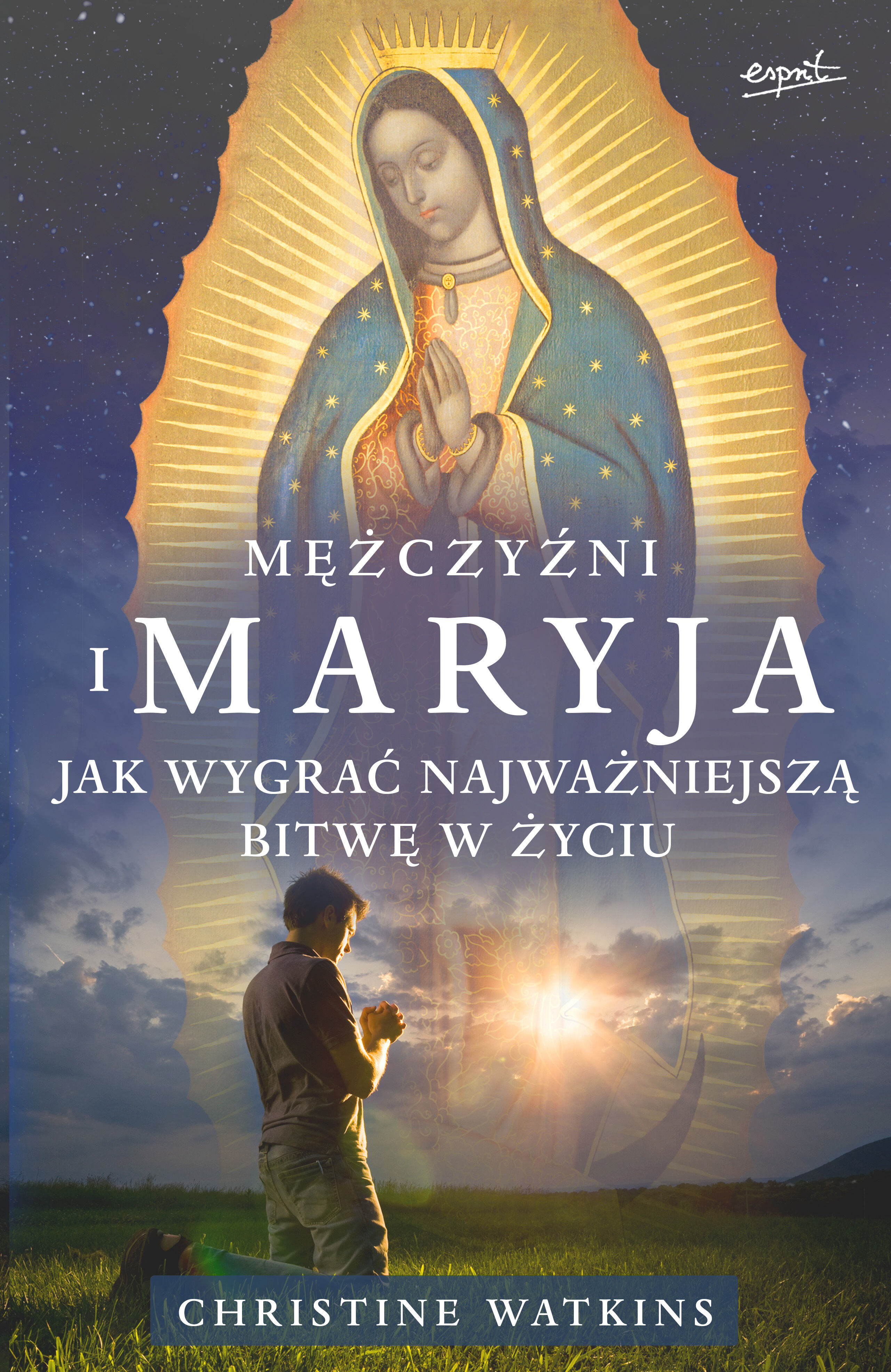 Mężczyźni i Maryja (e-book)
