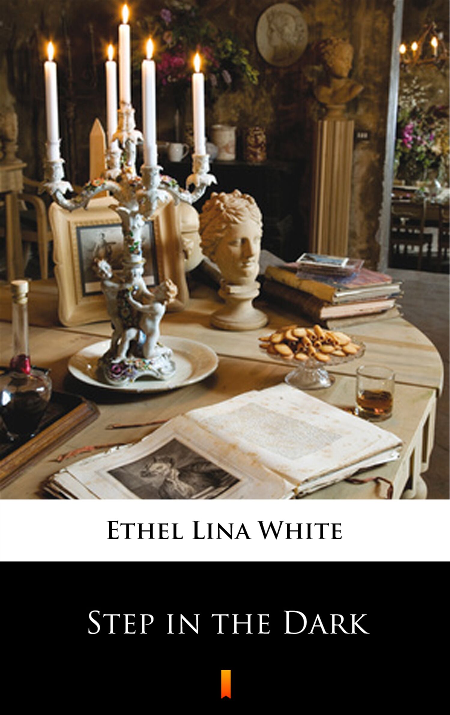 Step in the Dark (e-book)