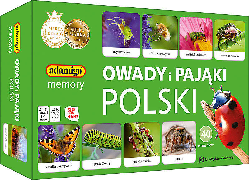 Gra memory owady i pająki polski