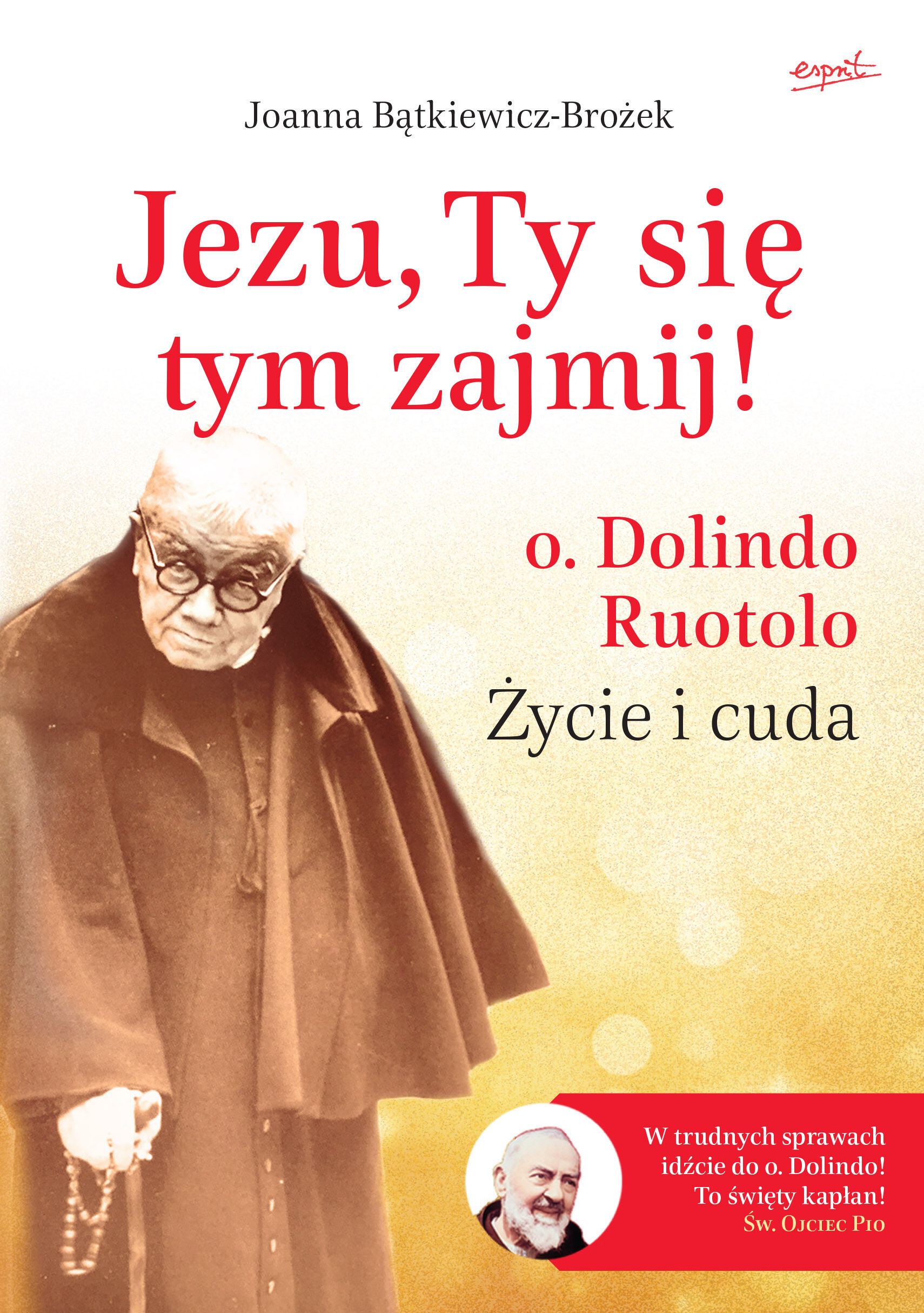 Jezu, Ty się tym zajmij! (e-book)