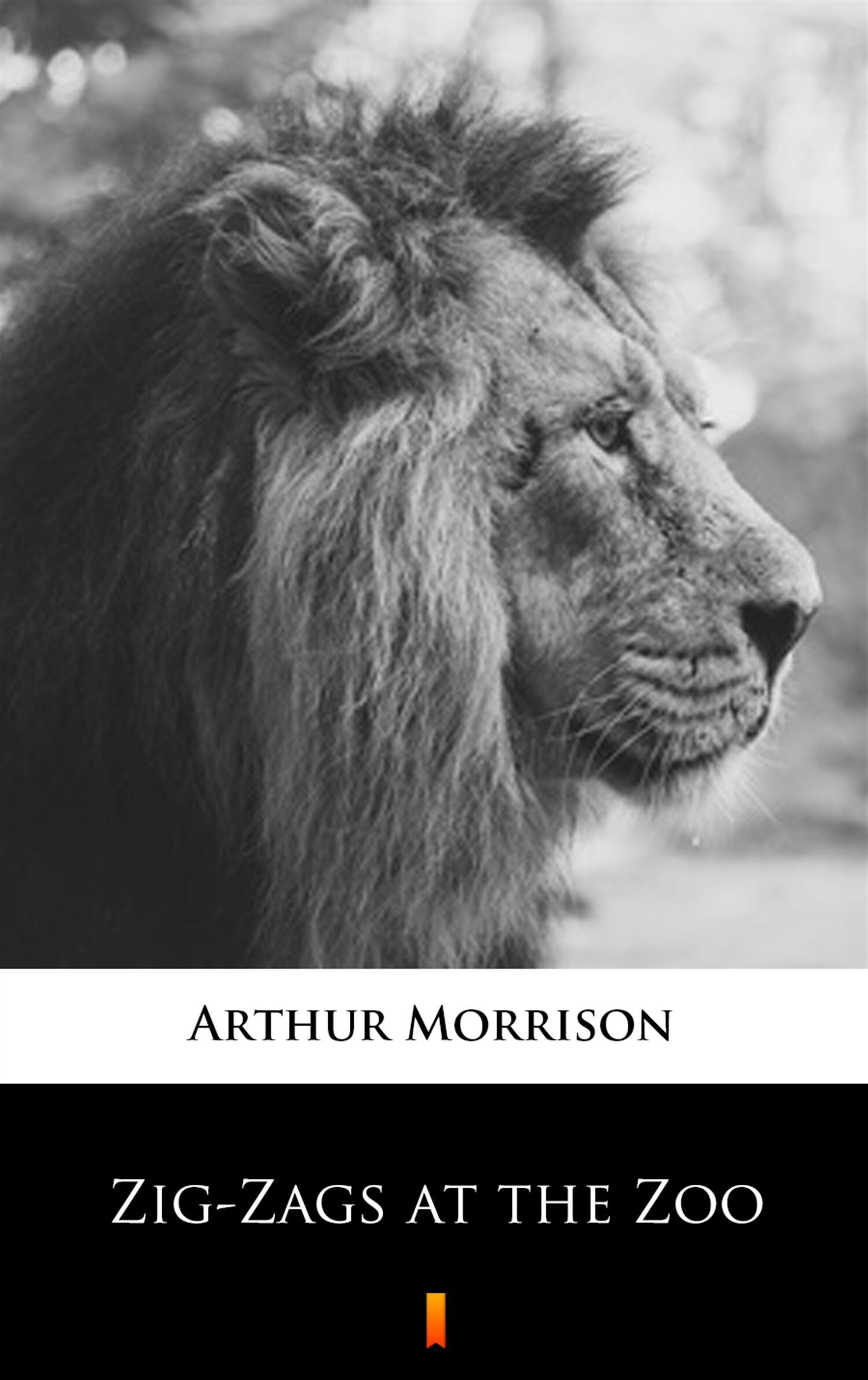 Zig-Zags at the Zoo (e-book)