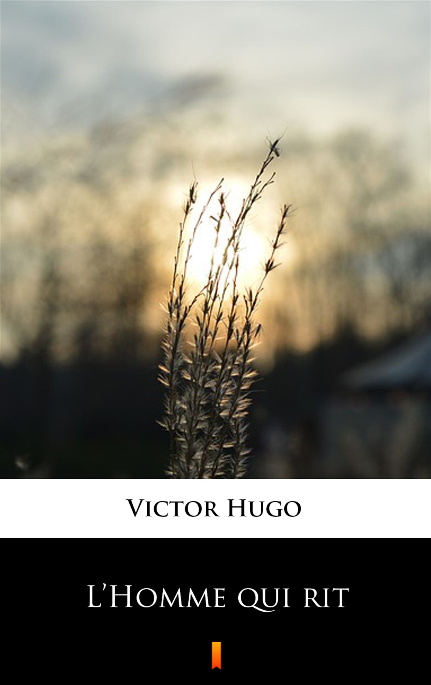 L’Homme qui rit (e-book)