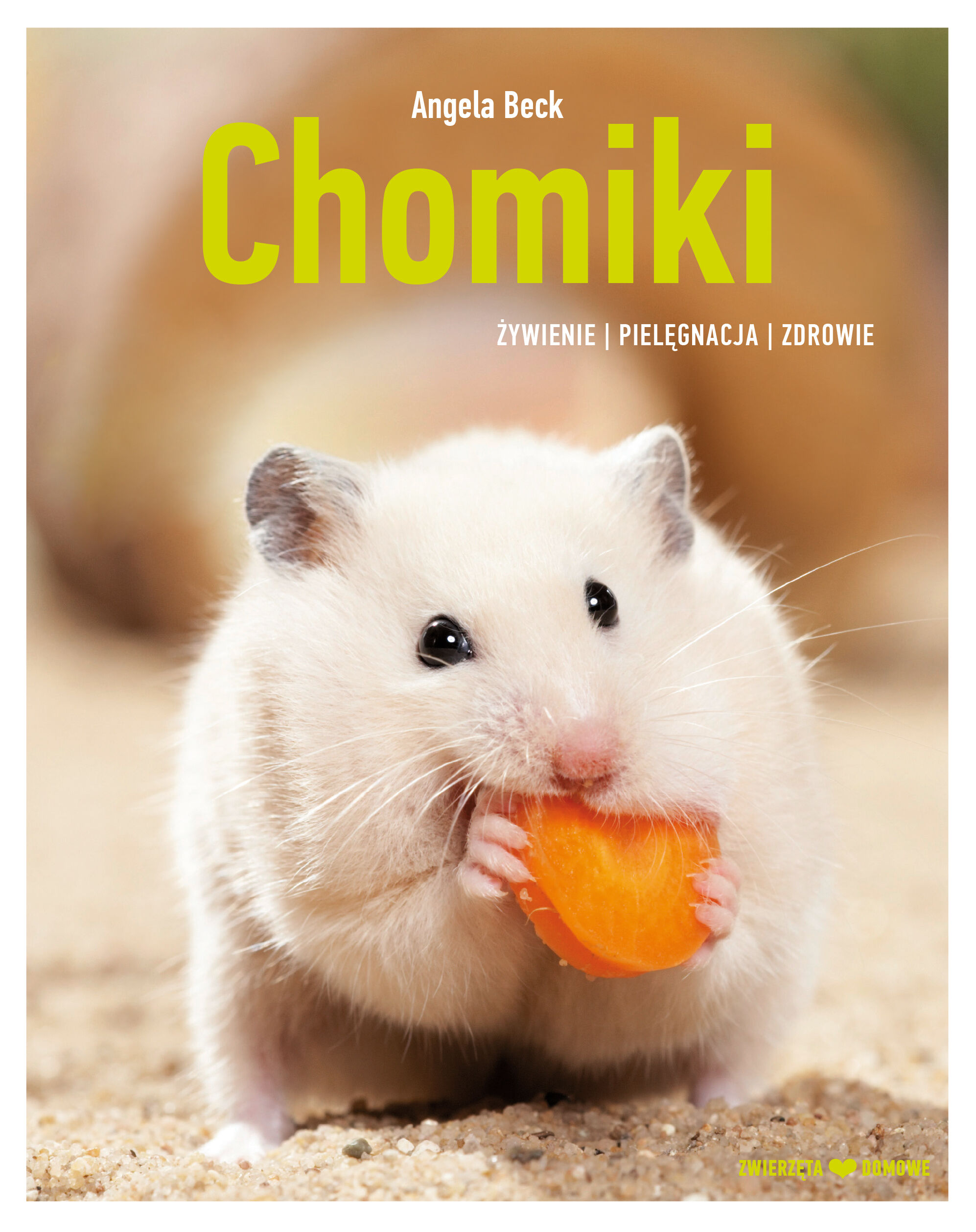 Chomiki. Hodowla