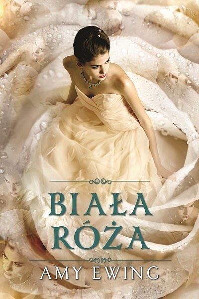 Biała róża