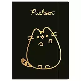 Paczka teczka a4 z gumką pusheen gold 10 szt