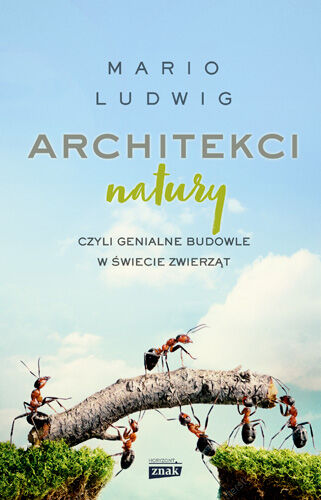 Architekci natury, czyli genialne budowle w świecie zwierząt