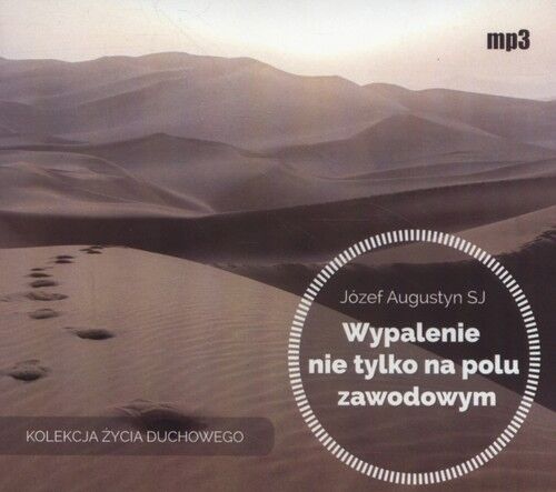 Wypalenie nie tylko na polu zawodowym (audiobook CD)