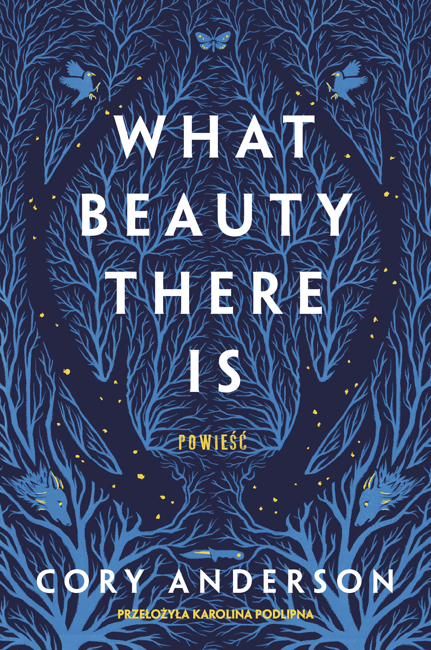 What Beauty There Is (e-book)