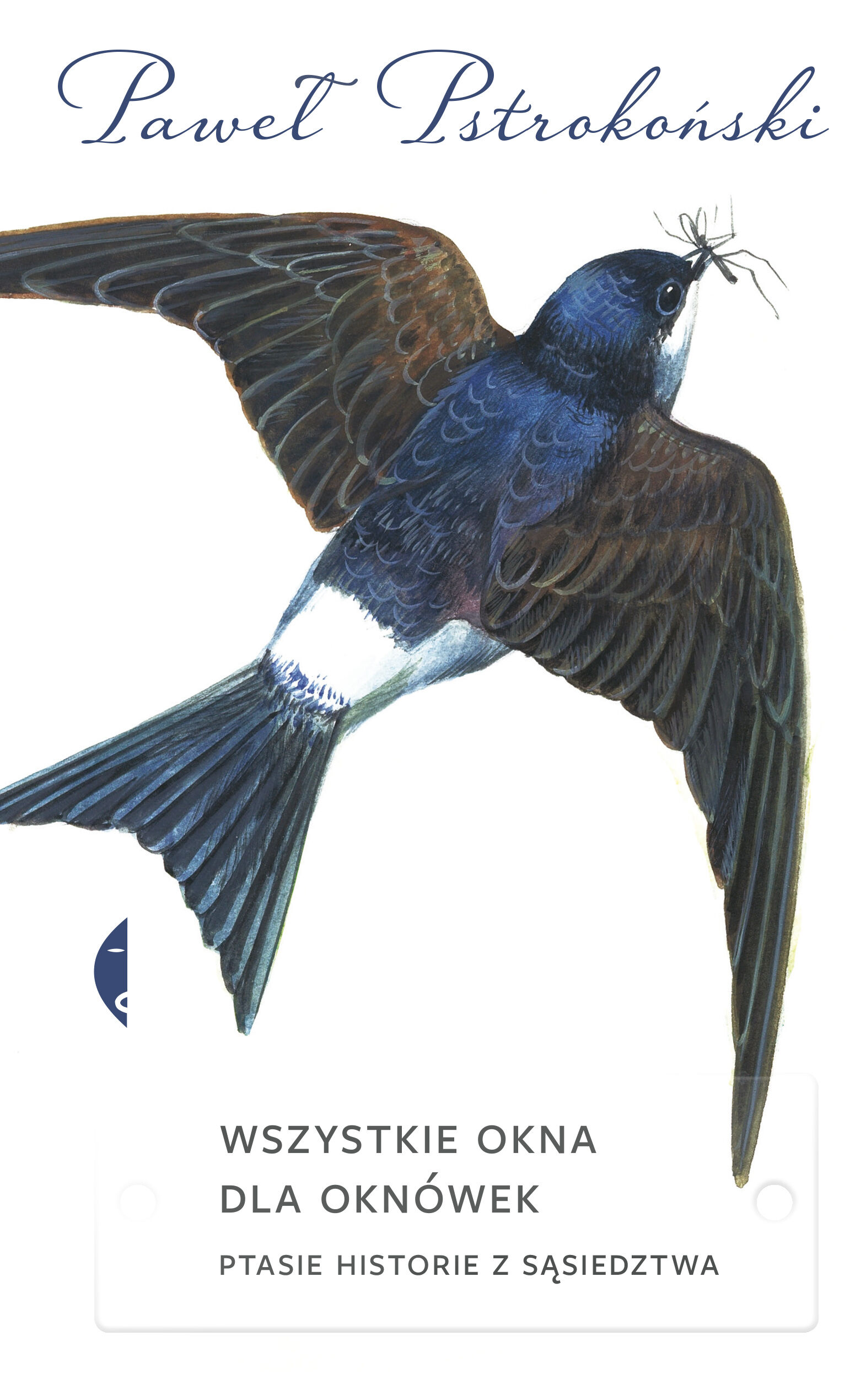Wszystkie okna dla oknówek (e-book)