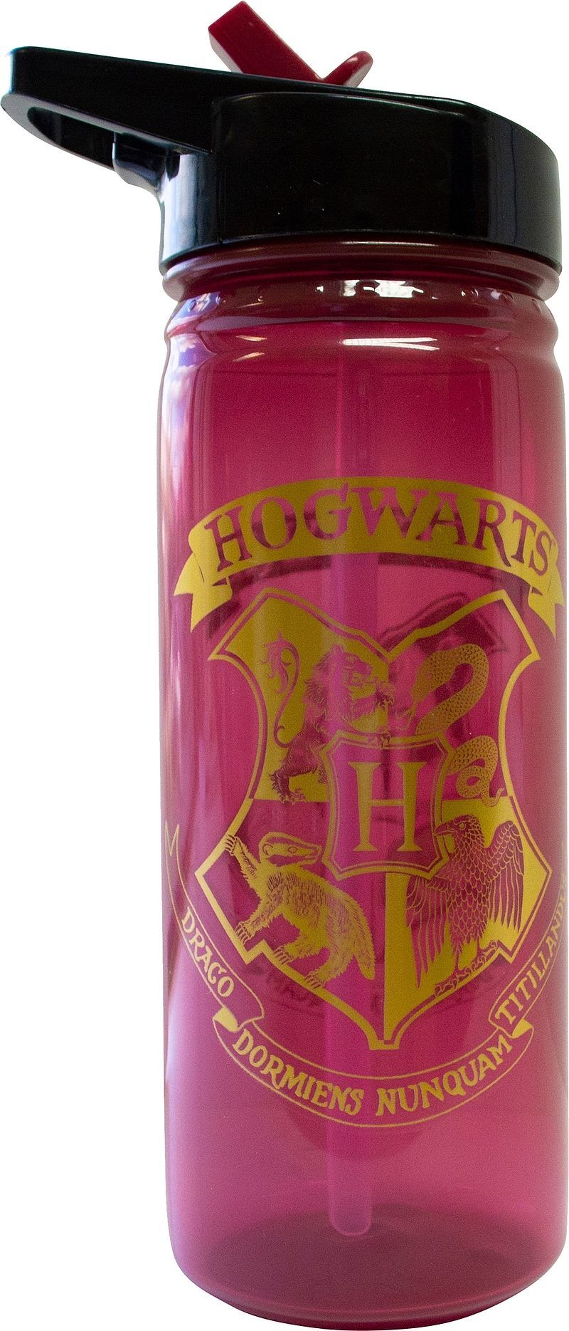 Bidon harry potter pp 600ml hp91553