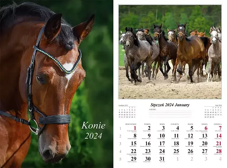 Kalendarz 2024 ścienny 13-k konie