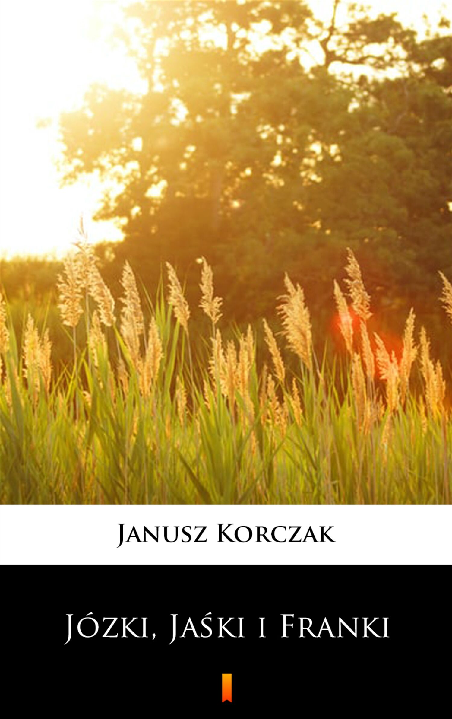 Józki, Jaśki i Franki (e-book)