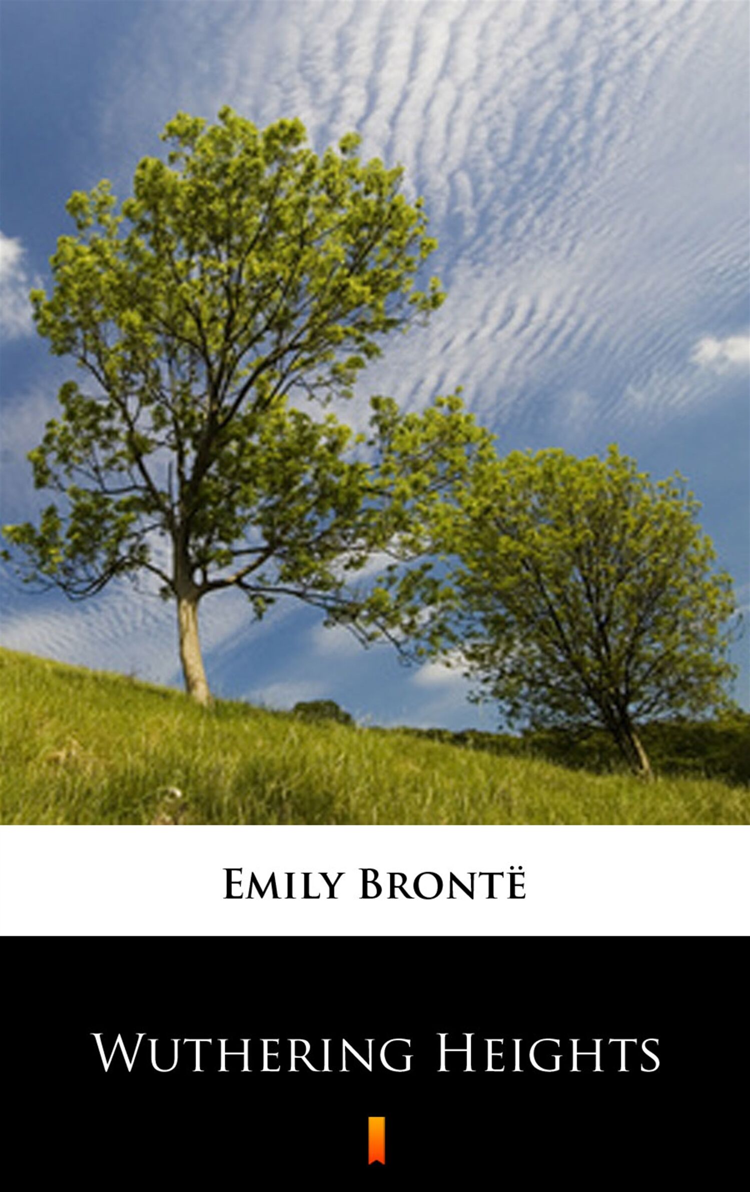 Wuthering Heights (e-book)