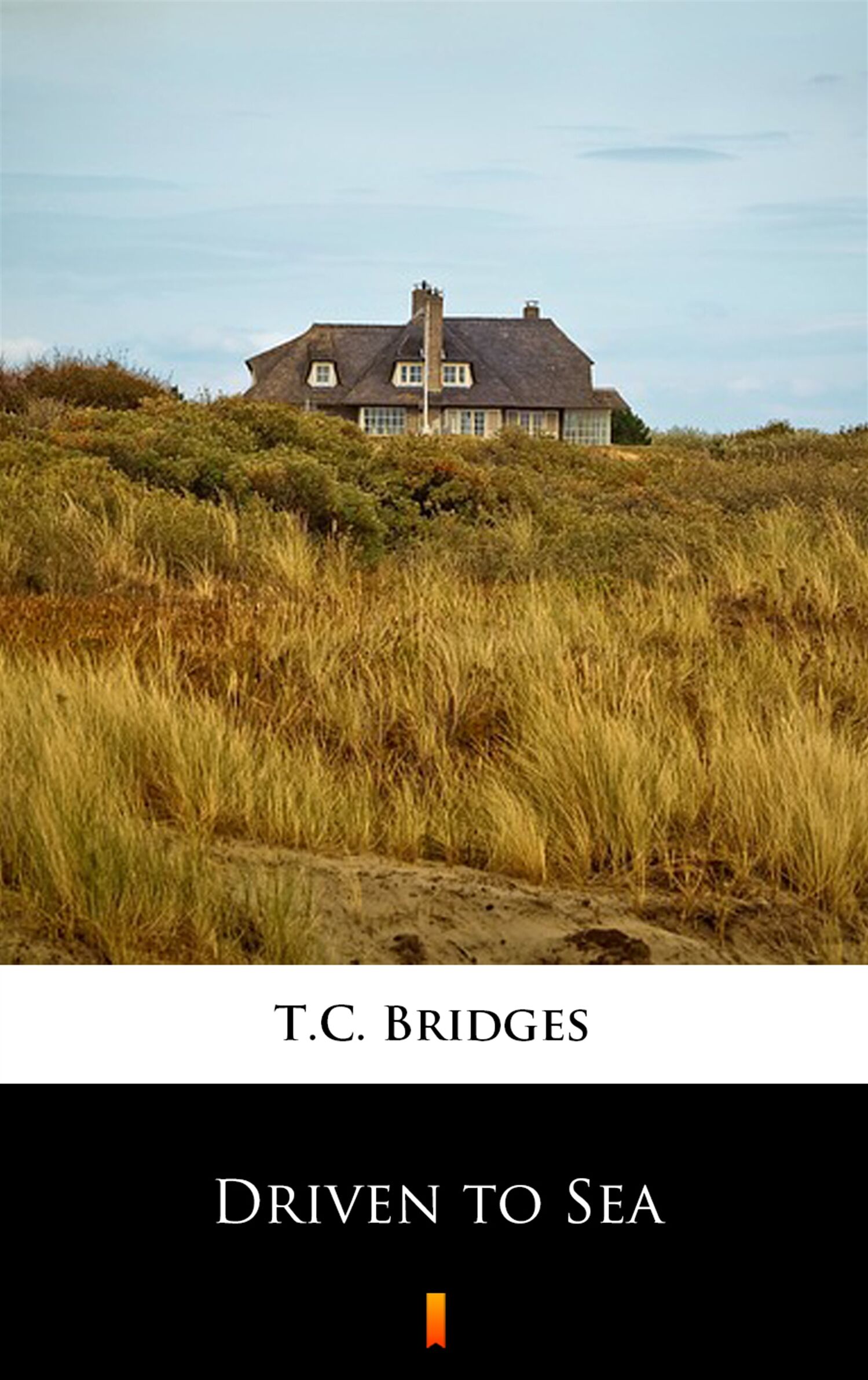Driven to Sea (e-book)