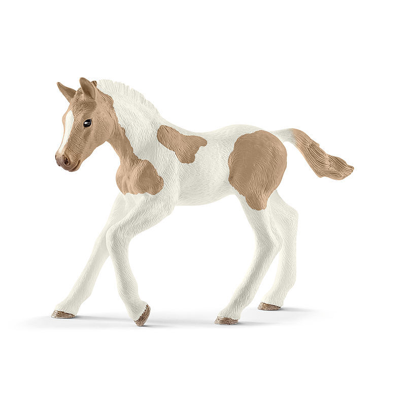 Koń paint horse foal slh13886