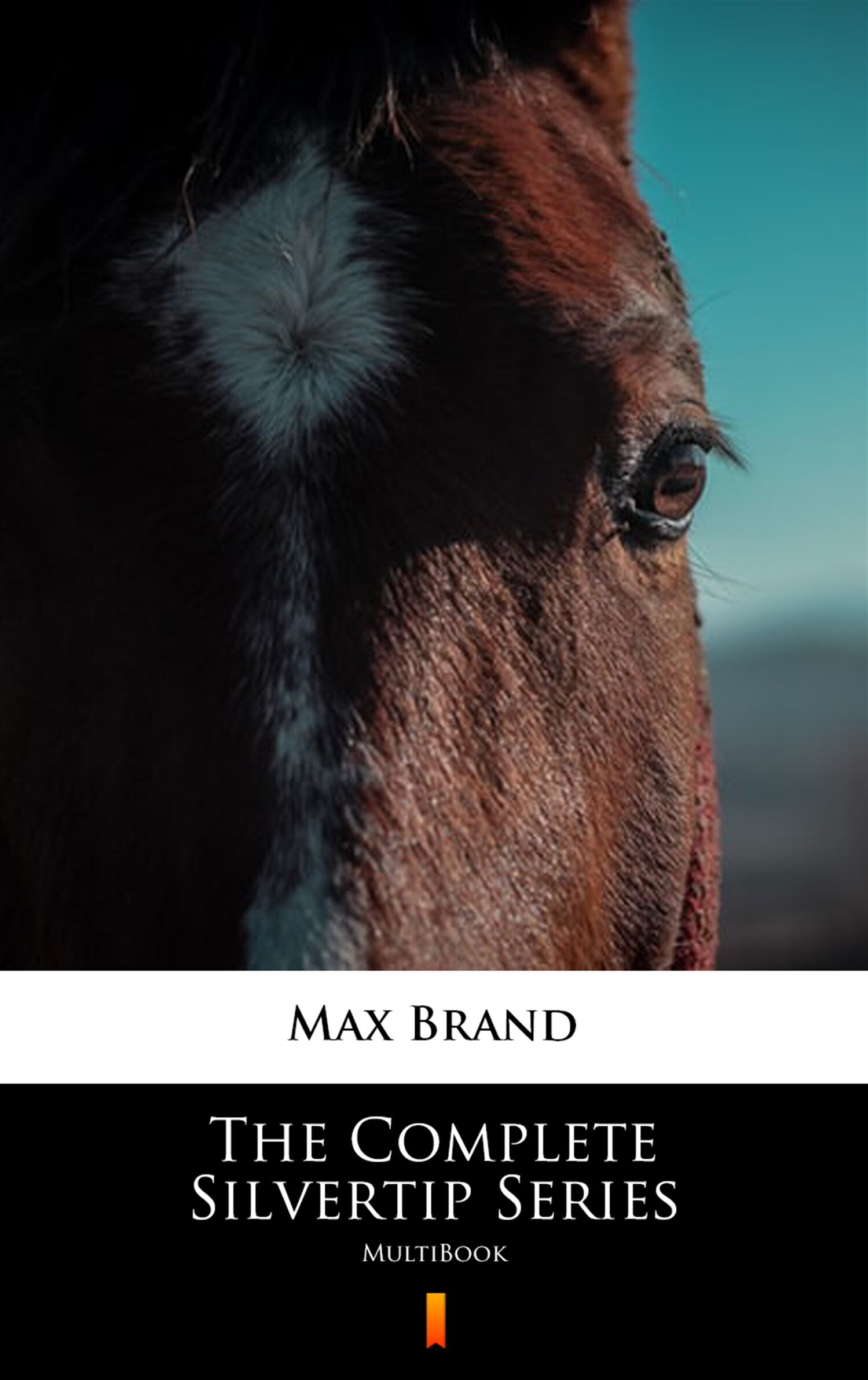 The Complete Silvertip Series (e-book)