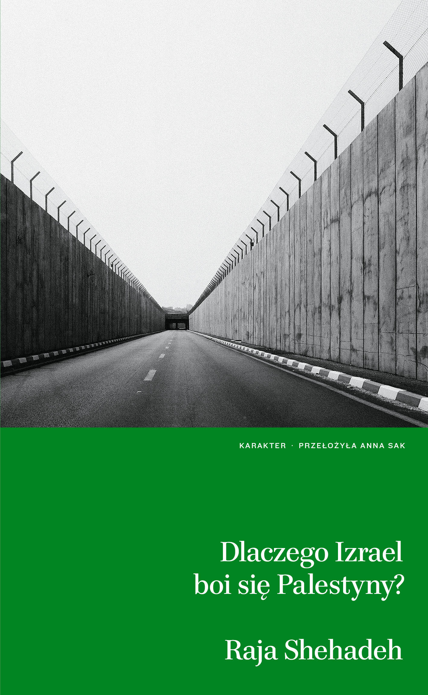 Dlaczego Izrael boi się Palestyny? (e-book)